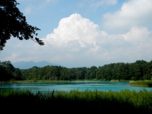 いよいよ夏本番