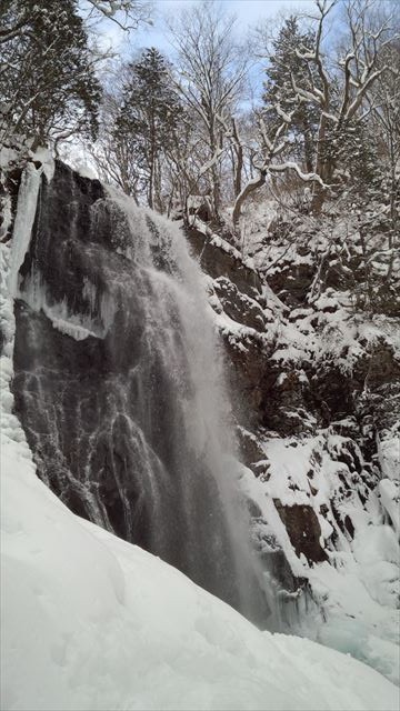 ブルーフォール