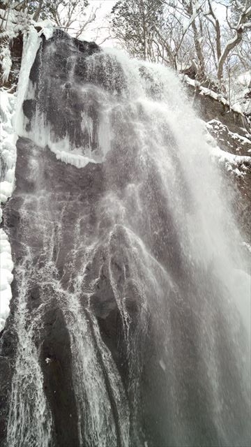 ブルーフォール