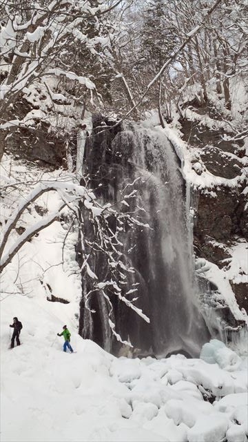 ブルーフォール