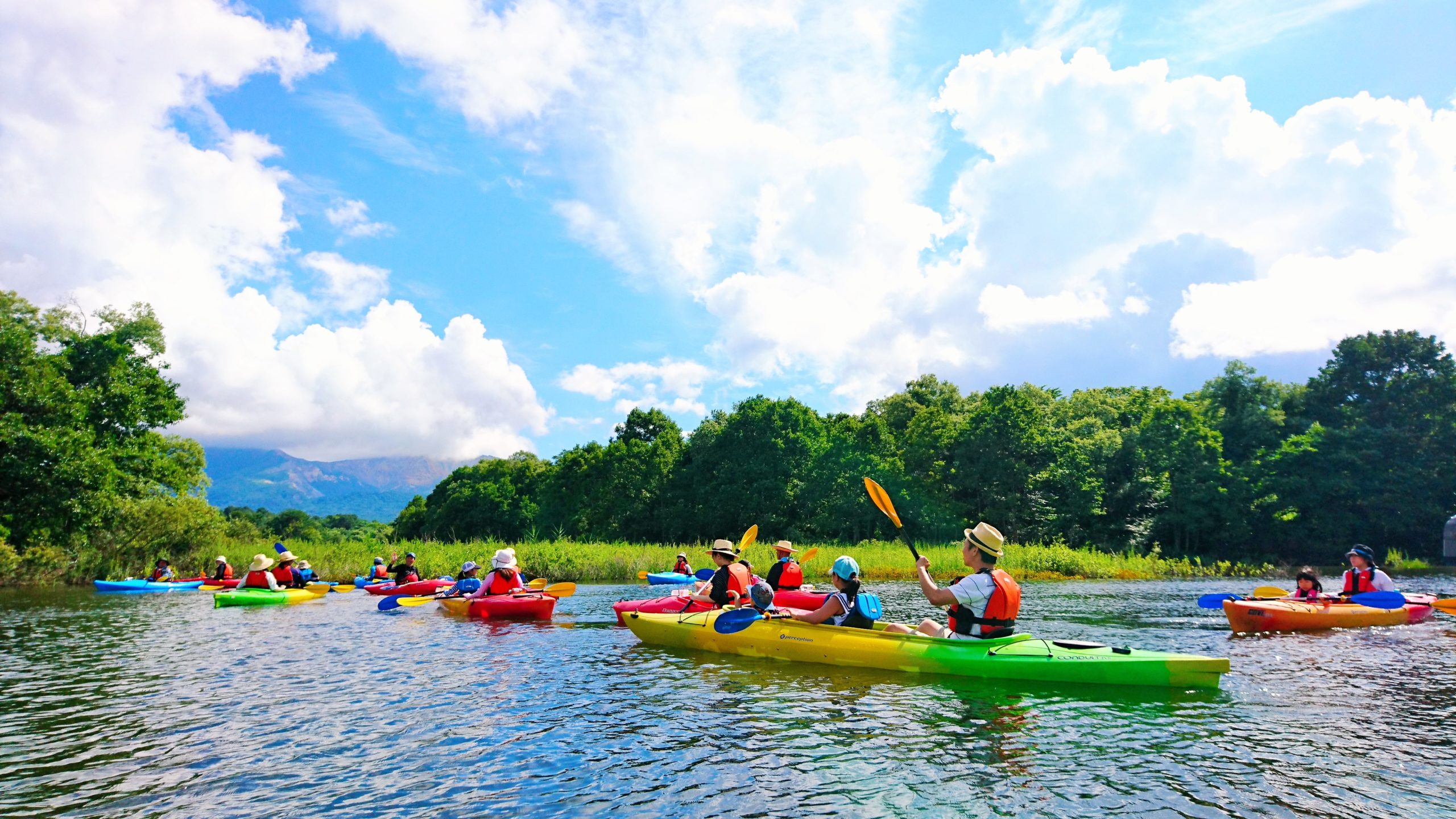 Image is not available